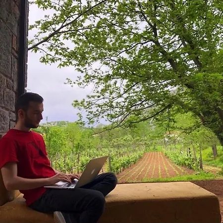 Baresha Agroturizem Qafe-Grade