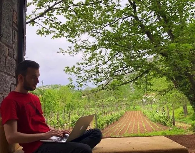 Baresha Agroturizem Qafe-Grade